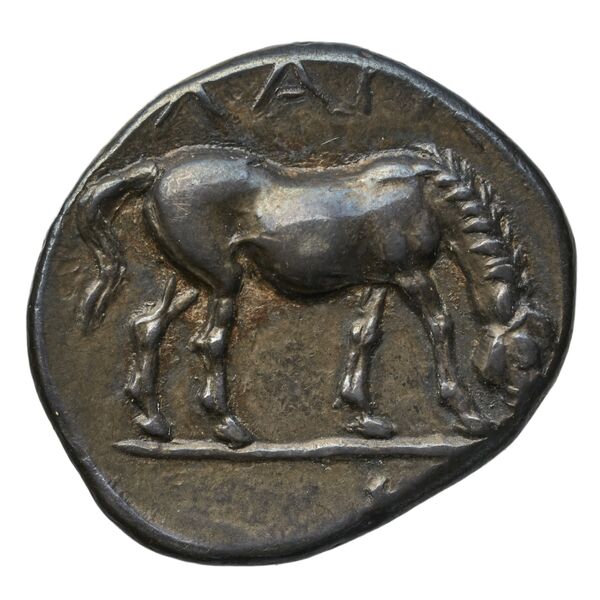 Larissa, Thessaly Herrmann 1925 VII.g-h, реверс, bnf-iris
