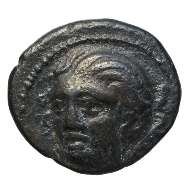 obverse Scotussa SNG Copenhagen Scotussa 253
