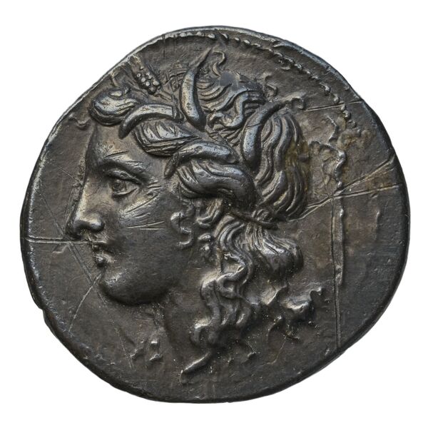 аверс Pyrrhus Syracuse BMC Pyrrhus 9-19