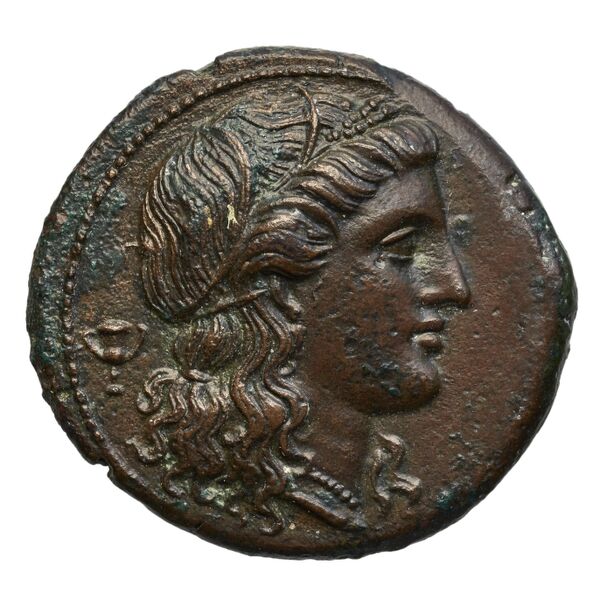 Pyrrhus Syracuse BMC Pyrrhus 24-29, аверс, bnf-iris