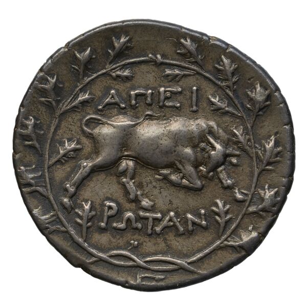 Epirote League Epirus Franke 1961 Epirote Koinon Group I, реверс, bnf-iris
