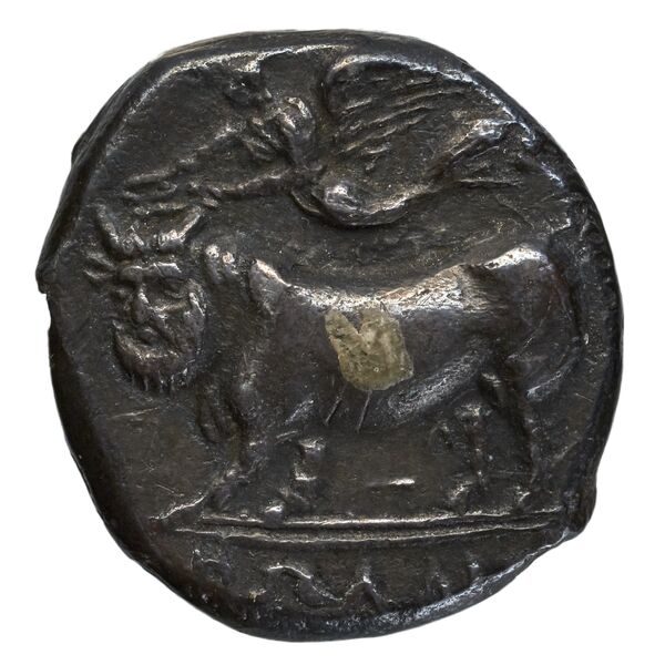reverse Nola Historia Numorum Italy 605