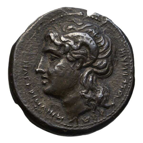 Nuceria Alfaterna Historia Numorum Italy 608, аверс, bnf-iris