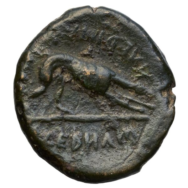 Nuceria Alfaterna Historia Numorum Italy 610, реверс, bnf-iris