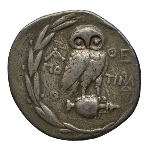 Timarchides athens rev