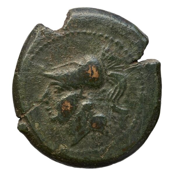 Teanum Sidicinum Historia Numorum Italy 453, аверс, bnf-iris