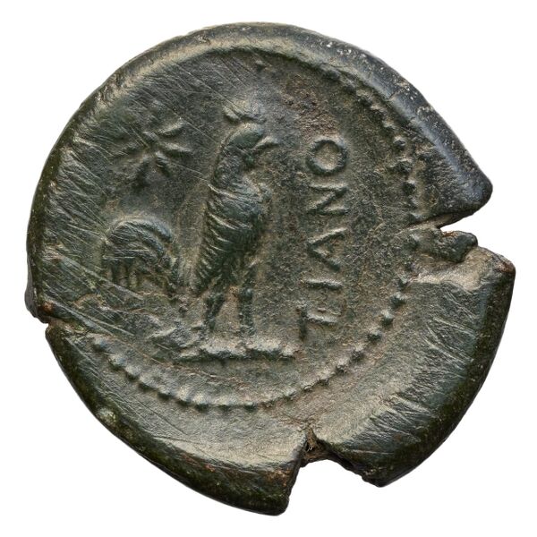 Teanum Sidicinum Historia Numorum Italy 453, реверс, bnf-iris