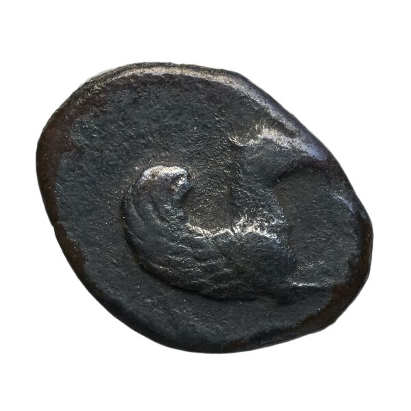coin obv