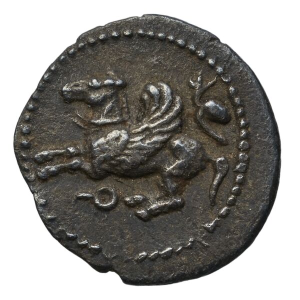 coin obv