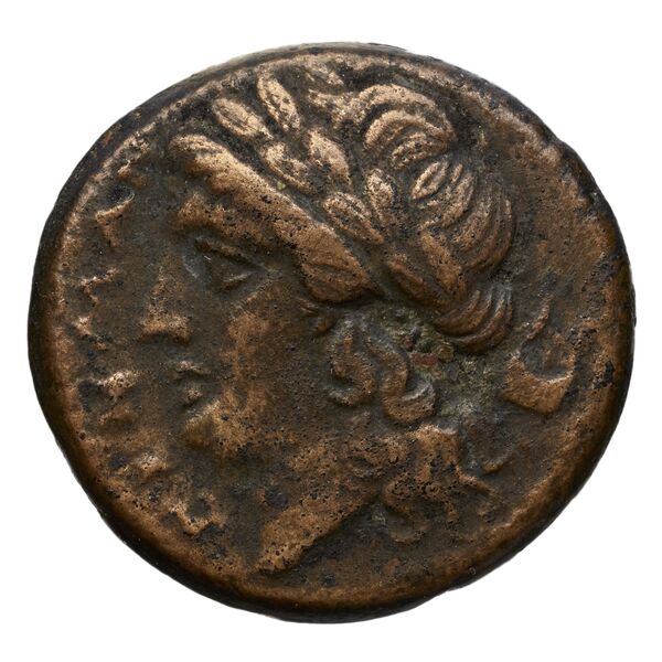 obverse Arpi Historia Numorum Italy 639
