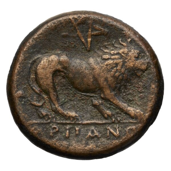 reverse Arpi Historia Numorum Italy 639