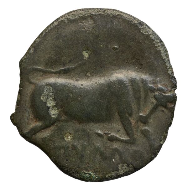 Arpi Historia Numorum Italy 645, аверс, bnf-iris