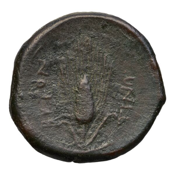 Butuntum Historia Numorum Italy 753, реверс, bnf-iris