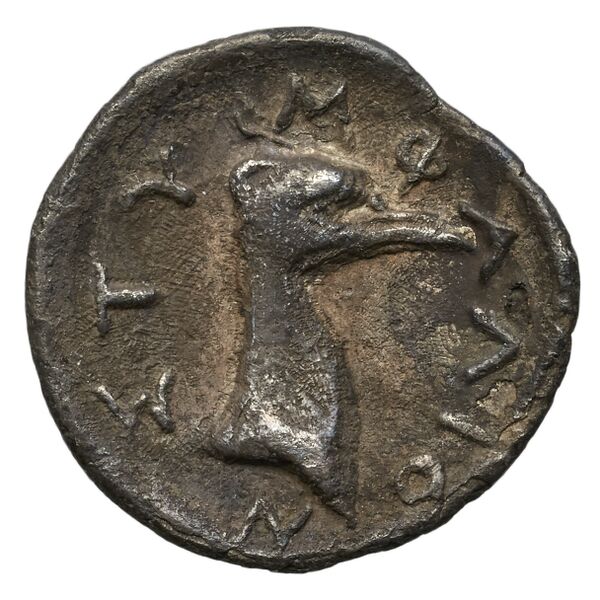 Stymphalus BMC Stymphalus 1-5, реверс, bnf-iris