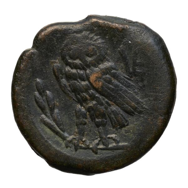 реверс Venusia Historia Numorum Italy 722