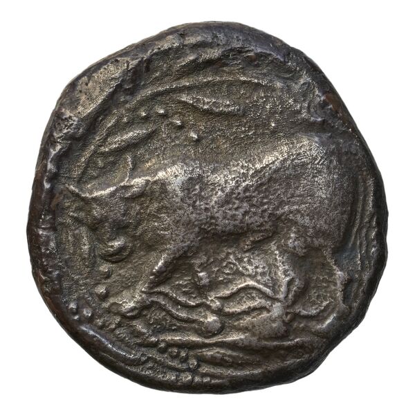 Phaestus Carbone 2016 11-28, 32, 44-49, 54-56, 66-95, аверс, bnf-iris