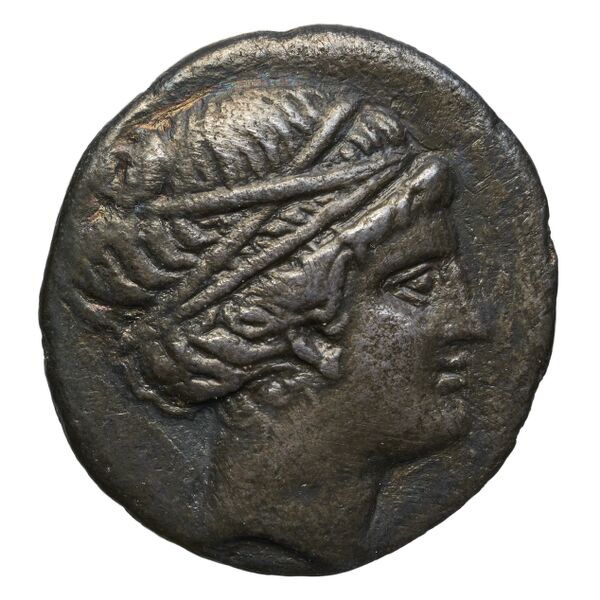 аверс Paros Tully 2013 Didrachm 2A-B = Di2.A-B