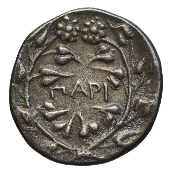 Paros Tully 2013 Didrachm 1 = Di1, реверс, bnf-iris