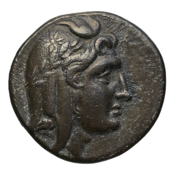 Amastris Callataÿ 2004 Group 2, аверс, bnf-iris