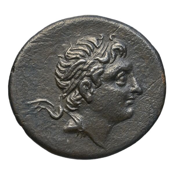 Prusias II of Bithynia Bithynia Kaye 2013 Late Group, аверс, bnf-iris