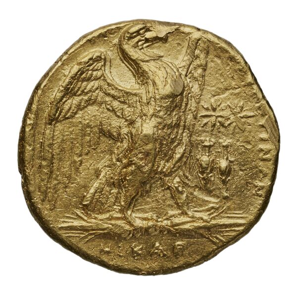 reverse Taras Fischer-Bossert 1999 G35-45