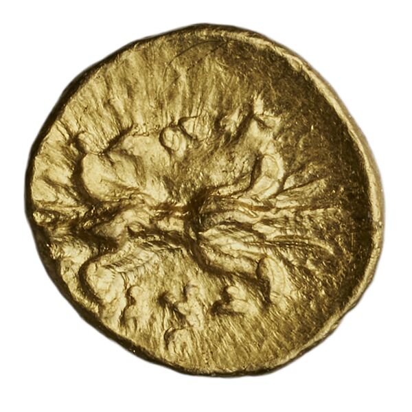 reverse Taras Fischer-Bossert 1999 G3