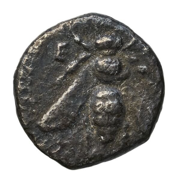 Ephesus Kinns and Holt 2023 Period II, AR IX, аверс, bnf-iris