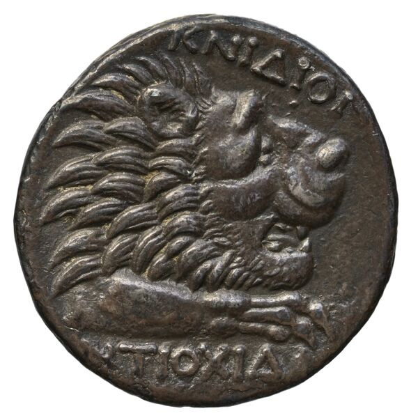 Cnidus Ashton 1999 Tetradrachms, reverse, bnf-iris