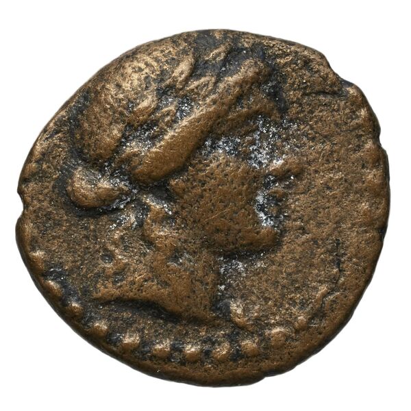 Halicarnassus BMC Halicarnassus 62-65, obverse, bnf-iris