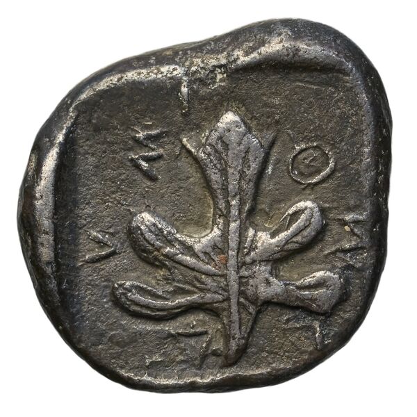 Idyma BMC Idyma 1-5, реверс, bnf-iris