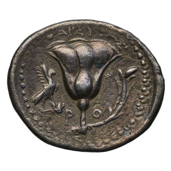 Rhodes Ashton 2001 212-6, реверс, bnf-iris
