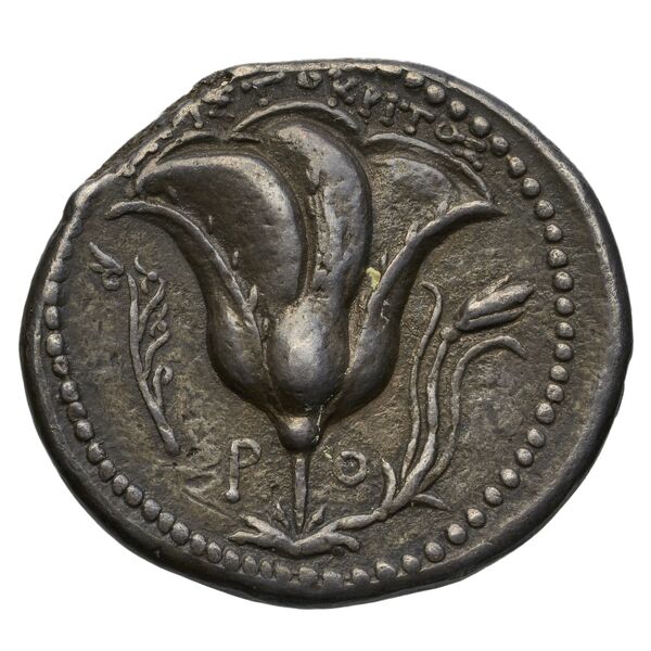 Rhodes Ashton 2001 212-6, реверс, bnf-iris