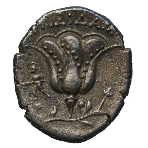 Rhodes Ashton 2001 180-7, реверс, bnf-iris