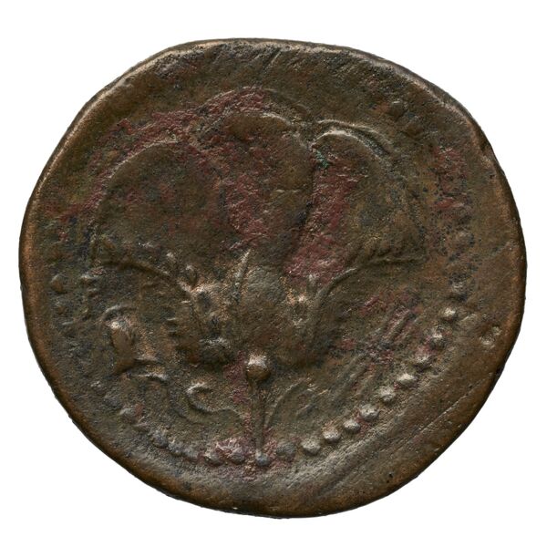 Rhodes Ashton 2001a Issue 3, реверс, bnf-iris