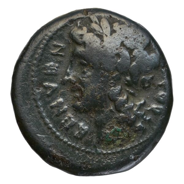 аверс Beneventum Historia Numorum Italy 440