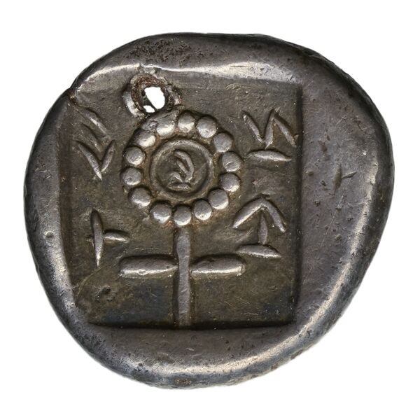 Nikodamos of Salamis rev
