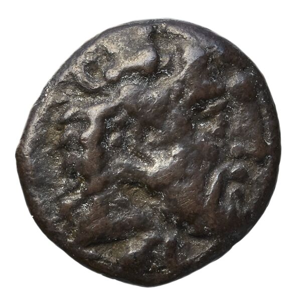 Euagoras I Salamis BMC Salamis 49, аверс, bnf-iris