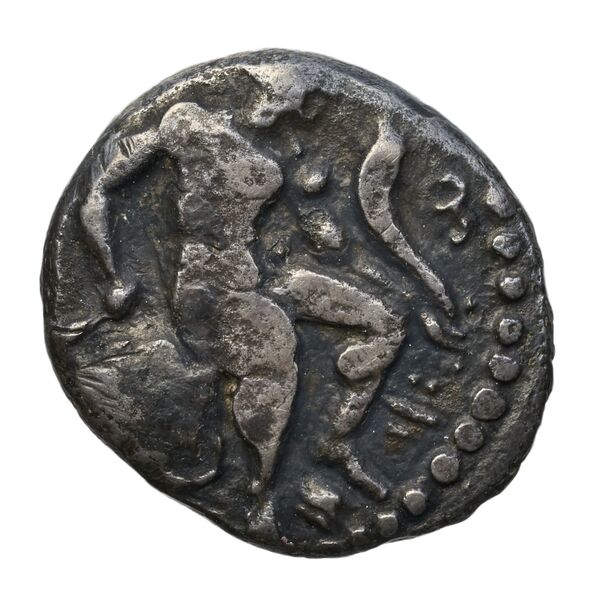 Euagoras I Salamis BMC Salamis 56-60, аверс, bnf-iris