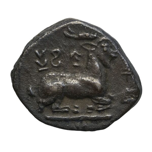 Euagoras I Salamis BMC Salamis 56-60, реверс, bnf-iris
