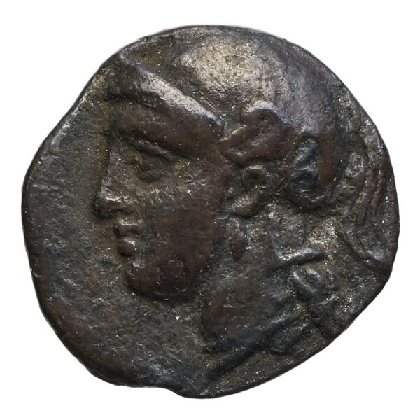 Euagoras II of Salamis Salamis BMC Salamis 68, аверс, bnf-iris