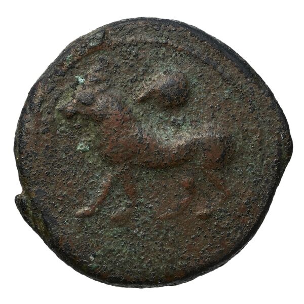 аверс Euagoras II of Salamis Salamis BMC Salamis 69-73