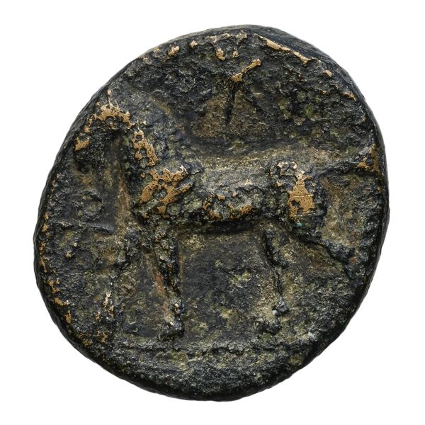 Euagoras II of Salamis Salamis BMC Salamis 69-73, аверс, bnf-iris