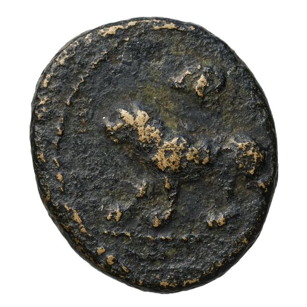 Euagoras II of Salamis Salamis BMC Salamis 69-73, реверс, bnf-iris