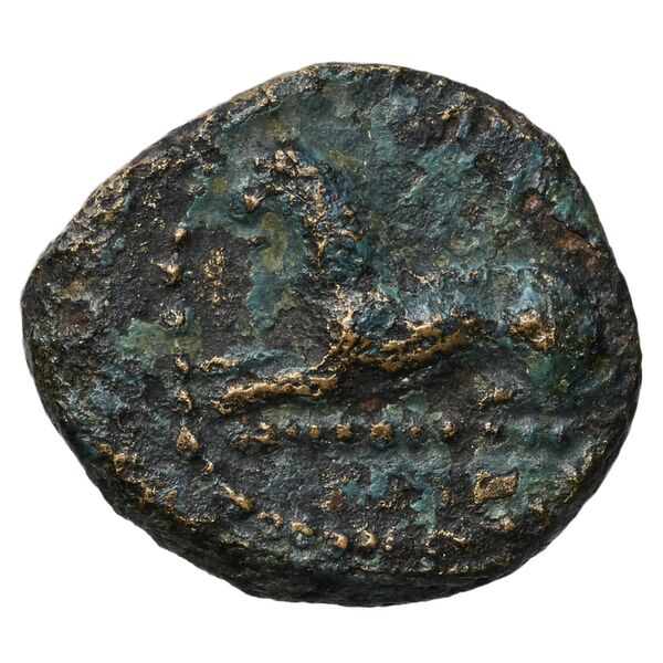 Euagoras II of Salamis Salamis BMC Salamis 69-73, аверс, bnf-iris