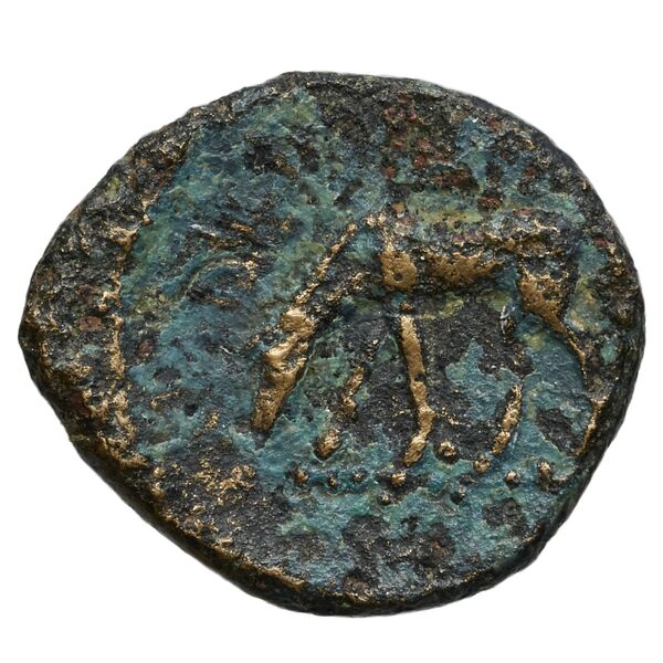 Euagoras II of Salamis Salamis BMC Salamis 69-73, реверс, bnf-iris