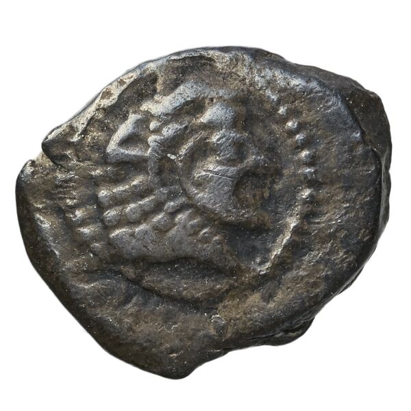 Baalmelek I of Citium Citium BMC Citium 8-9, аверс, bnf-iris