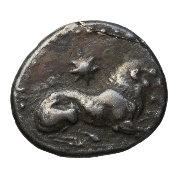 Amathus BMC Amathus 1-6, аверс, bnf-iris