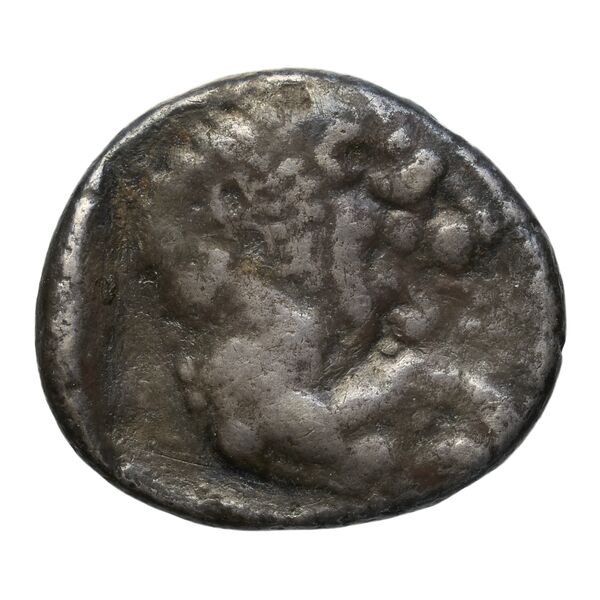 Amathus BMC Amathus 1-6, реверс, bnf-iris