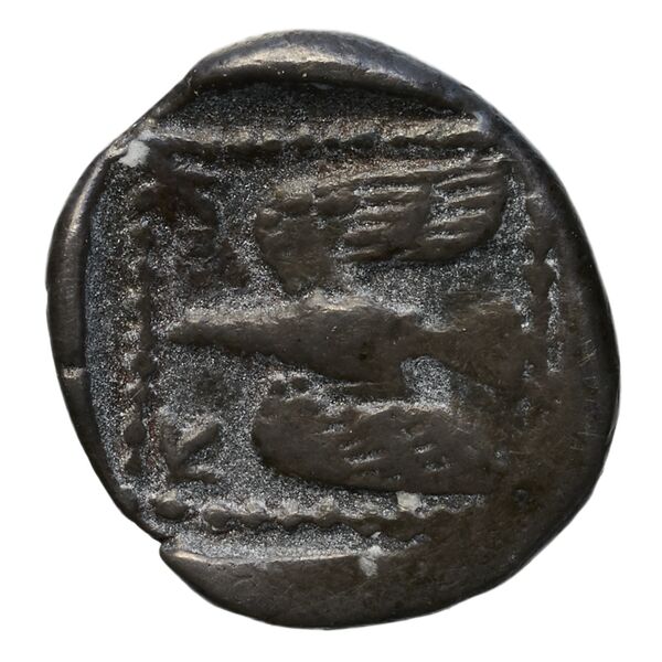 Onasi(-) of Paphus Paphos BMC Paphus 41-42, реверс, bnf-iris