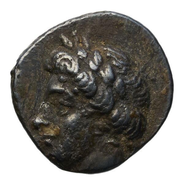 Pny- of Paphos Paphos BMC Paphus 4-13, аверс, bnf-iris